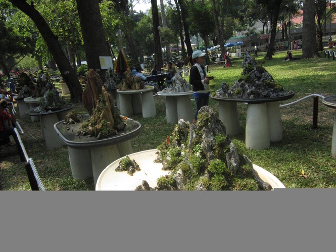 Hoa xuân tràn ngập công viên Tao Đàn - ảnh 5